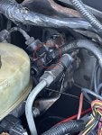 IMG_1945.JPEG